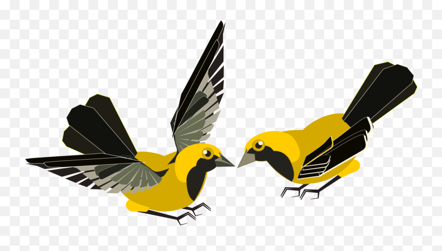 Yellow Bird Bird Of Prey Png Clipart - Bird Kissing Clipart Transparent Emoji,Yellow Bird Emoji