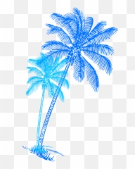 Palm Tree Clipart Colorful - Blue Palm Tree Png Full Size Coconut Tree Clip Art Emoji,Palm Tree Emoji