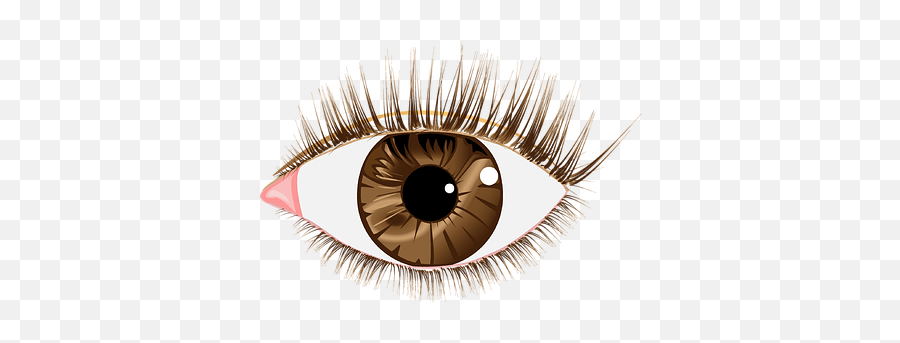 Wimpers Beelden - Download Gratis Afbeeldingen Pixabay Clear Background Eye Png Transparent Emoji,Emoticons Blozen