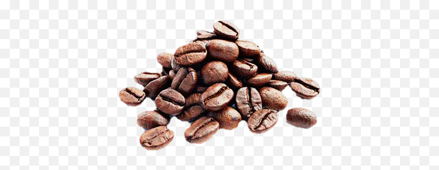Coffee Beans Coffeebeans Coffee Sticker - Coffee Beans Emoji,Coffee Bean Emoji