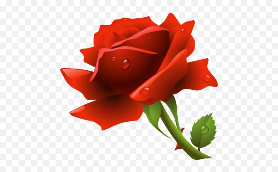Red Roses Stickers For Whatsapp And Signal Makeprivacystick - Rose Vectors Emoji,Red Rose Emoticon