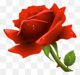 Red Roses Stickers For Whatsapp And Signal Makeprivacystick - Rose Vectors Emoji,Red Rose Emoticon