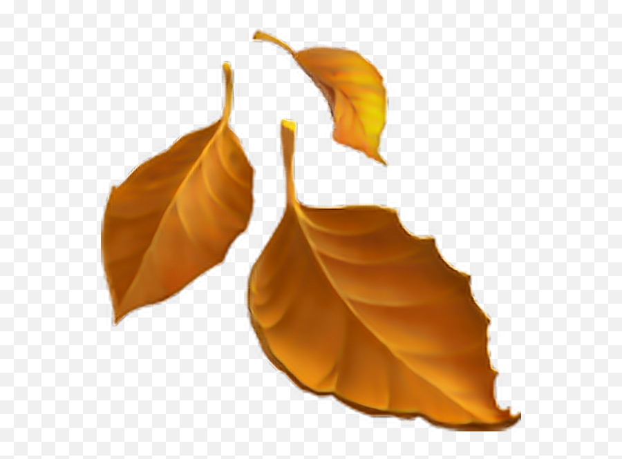 Fall Leaves Emoji Transparent - Fall Leaves Emoji Png,Fall Emoji