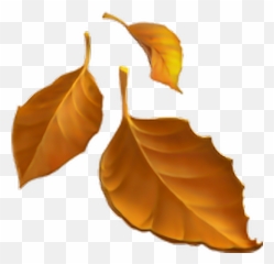 Fall Leaves Emoji Transparent - Fall Leaves Emoji Png,Fall Emoji
