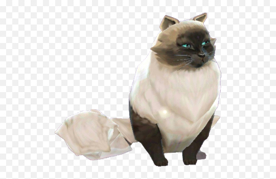 Cat - Siamese Cat Emoji,Grumpy Cat Emotion Poster
