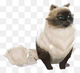 Cat - Siamese Cat Emoji,Grumpy Cat Emotion Poster