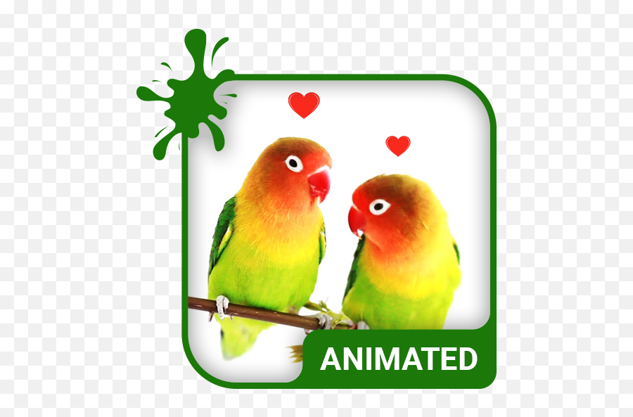 Lovebirds Animated Keyboard Live Wallpaper U2013 Apps Bei - Love Bird Animated Emoji,Cubs Emojis