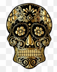 Free Photo Viva Mexico Indian Drink Tequila Mexico Alcohol - Day Of The Dead Cool Skull Designs Emoji,Girl Train Skull Emoji