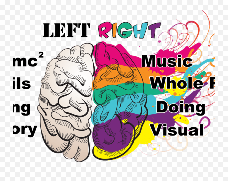 Right Brain Education - Transparent Brain Creative Png Emoji,Right Vs Left Brain Emotions