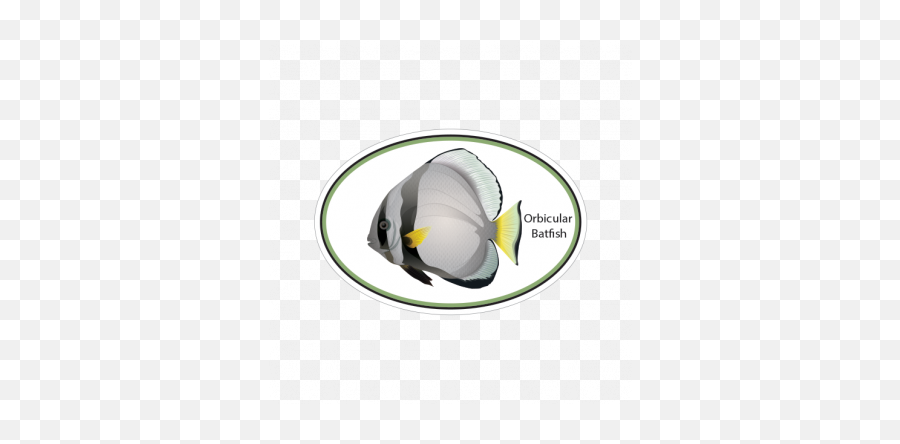 Batfish 06226 - Butterflyfishes Emoji,Skull Fish Fish Emoji