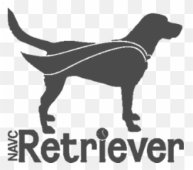 Veterinary Video Production - Connect On A Deeper Level With Emoji,Videos Of Dogs Emotions