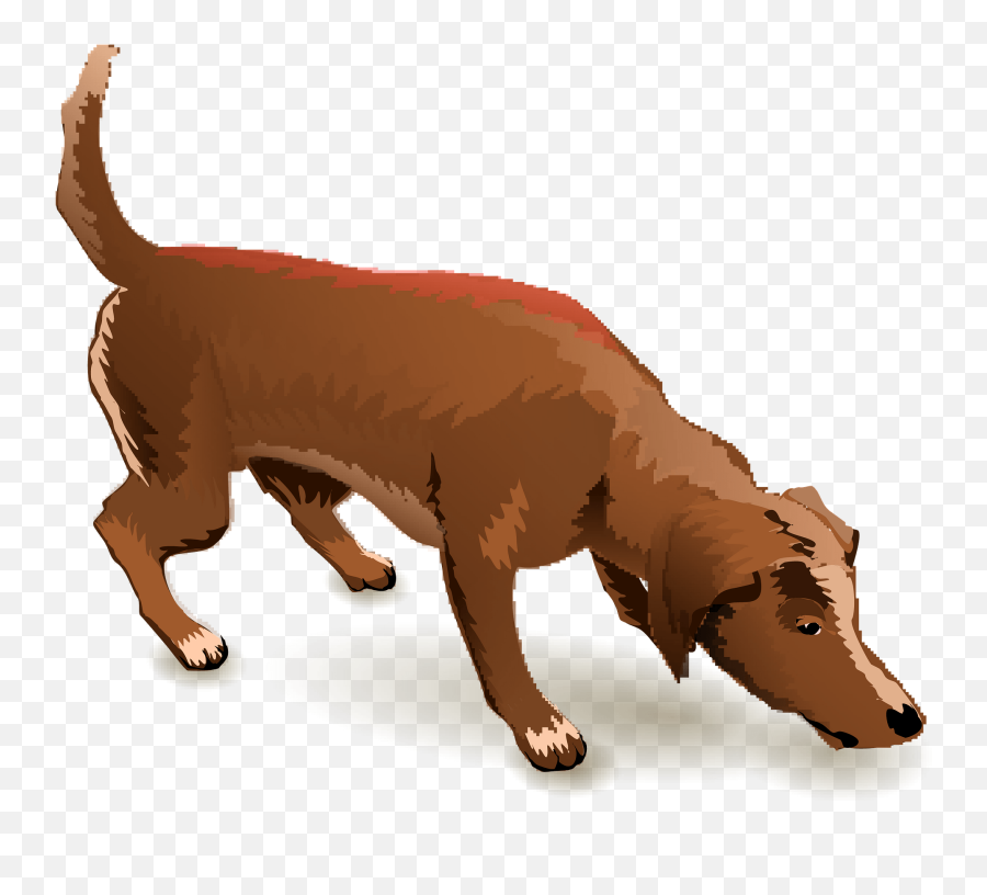 Sniffing Dog Clipart Free Download Transparent Png Creazilla - Dog Sniffing Clipart Transparent Emoji,Weenie Dog Emoji