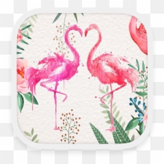 Flamingo - Flamingo Png Emoji,Emoji Keyboard