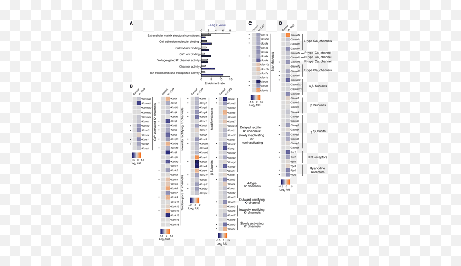 Dynamic Dna Methylation Regulates - Vertical Emoji,Scienmag Interpreting Emotions