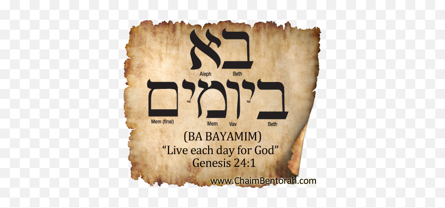 Hebrew Word Study - Seed In Hebrew Emoji,Emotion Quotes Bible