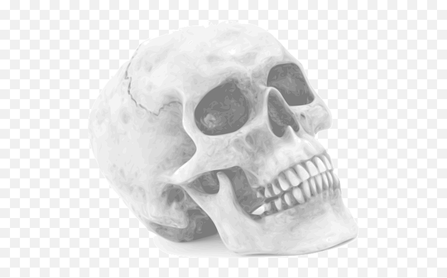 20 Free Gray Skull U0026 Skull Vectors - Pixabay Skull Photo On White Background Emoji,Spooky Scary Skeletons Emoticon