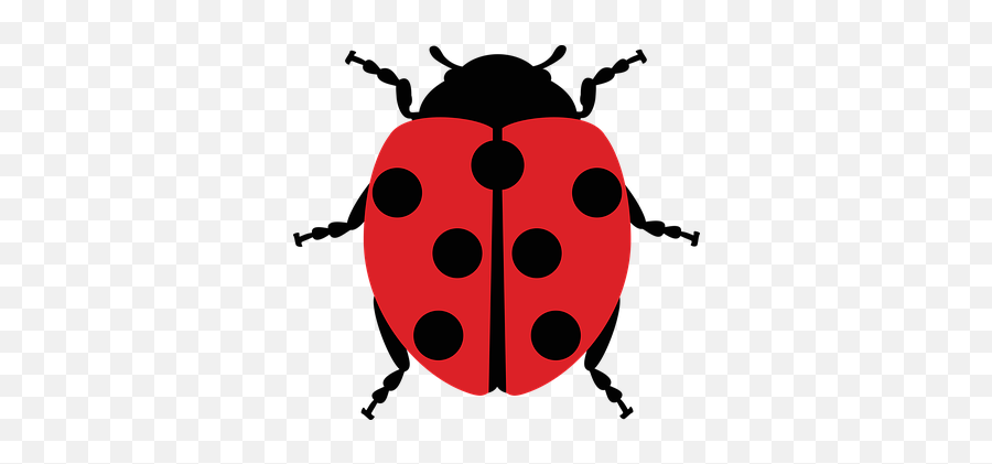 Free Beetle Ladybug Vectors - Hình Nh Con B Rùa Emoji,Zzz Ant Ladybug Ant Emoji