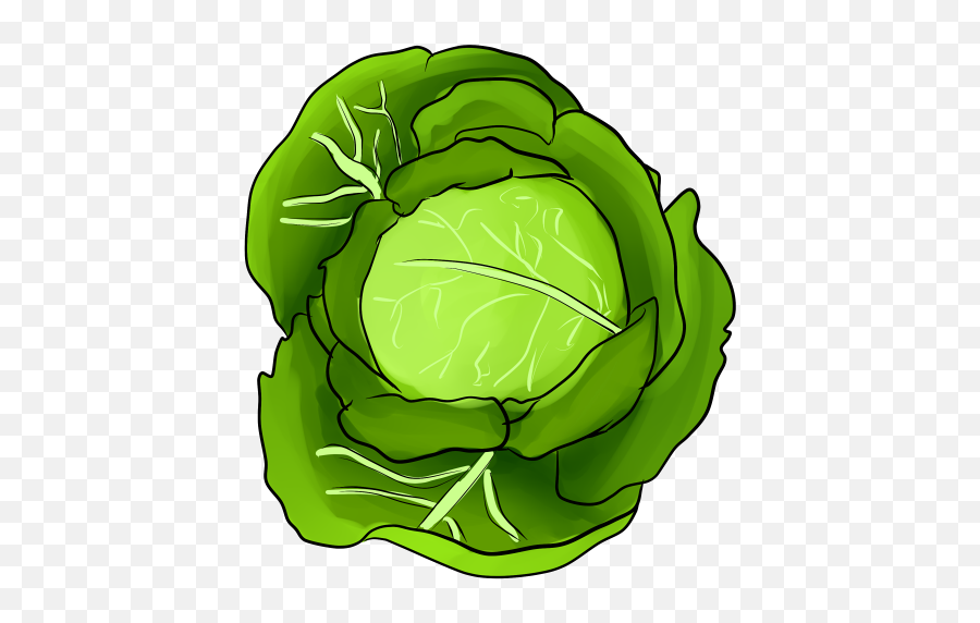 Bodyoftemptation - Transparent Cabbage Emoji,Head Of Lettuce Emoji