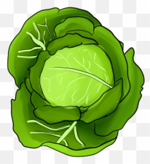 Bodyoftemptation - Transparent Cabbage Emoji,Head Of Lettuce Emoji