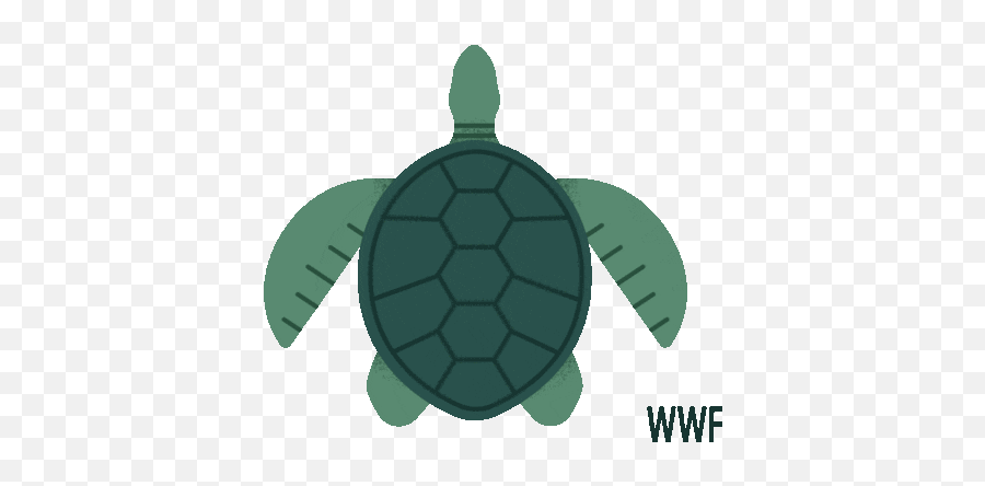 Our World 4 Unit 6 - Revision Baamboozle Emoji,What Are The Points On Wwf Emojis