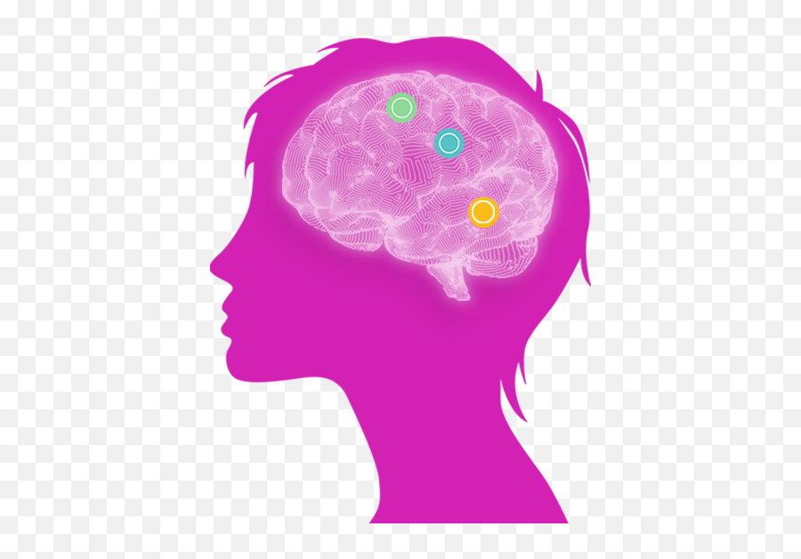 Our Model - The Art Of Yoga Project Emoji,Brain Limbic Emotions Prefrontal Our Model - The Art Of Yoga Project Emoji,Brain Limbic Emotions Prefrontal