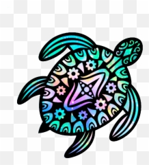The Most Edited Tortugas Picsart Emoji,Pictures Of Emojis That Look Like Tortoises