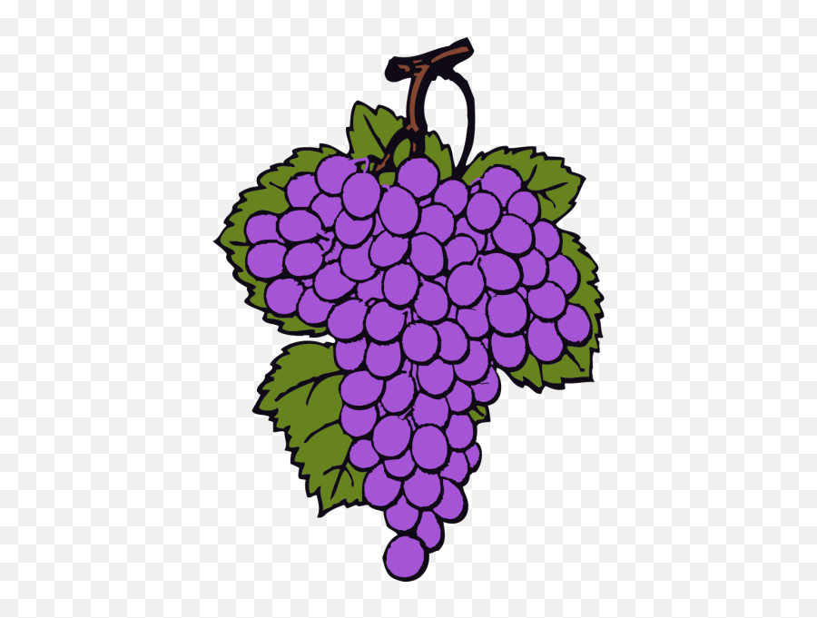 Grape Png Svg Clip Art For Web - Download Clip Art Png Emoji,Grape Emojis