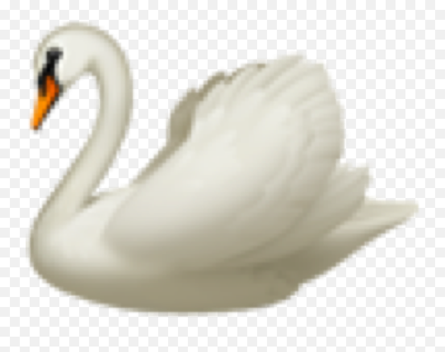 Freetoedit Swan Emoji Emojiiphone - Soft,Bird Emoji Iphone
