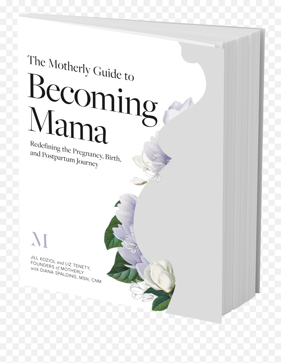 The Motherly Guide To Becoming Mama Book - Horizontal Emoji,Cool Emotions For Msn