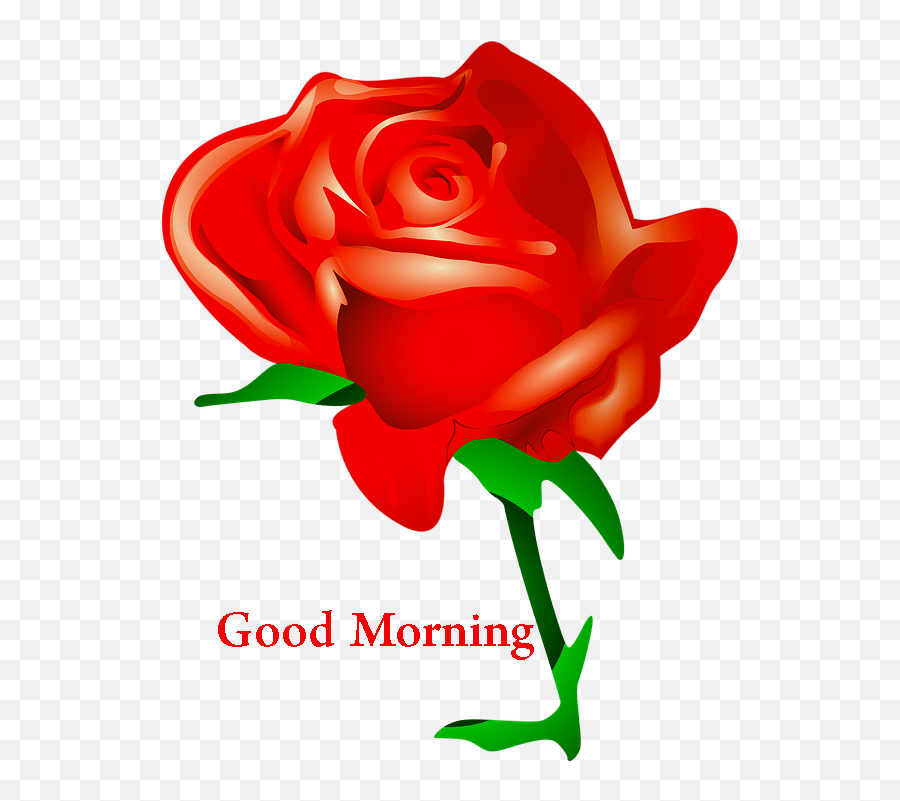 Top 55 Good Morning Images Hd Morning Pictures Wishes - Small Red Rose Png Emoji,Good Morning Love Quotes With Sweet Emojis