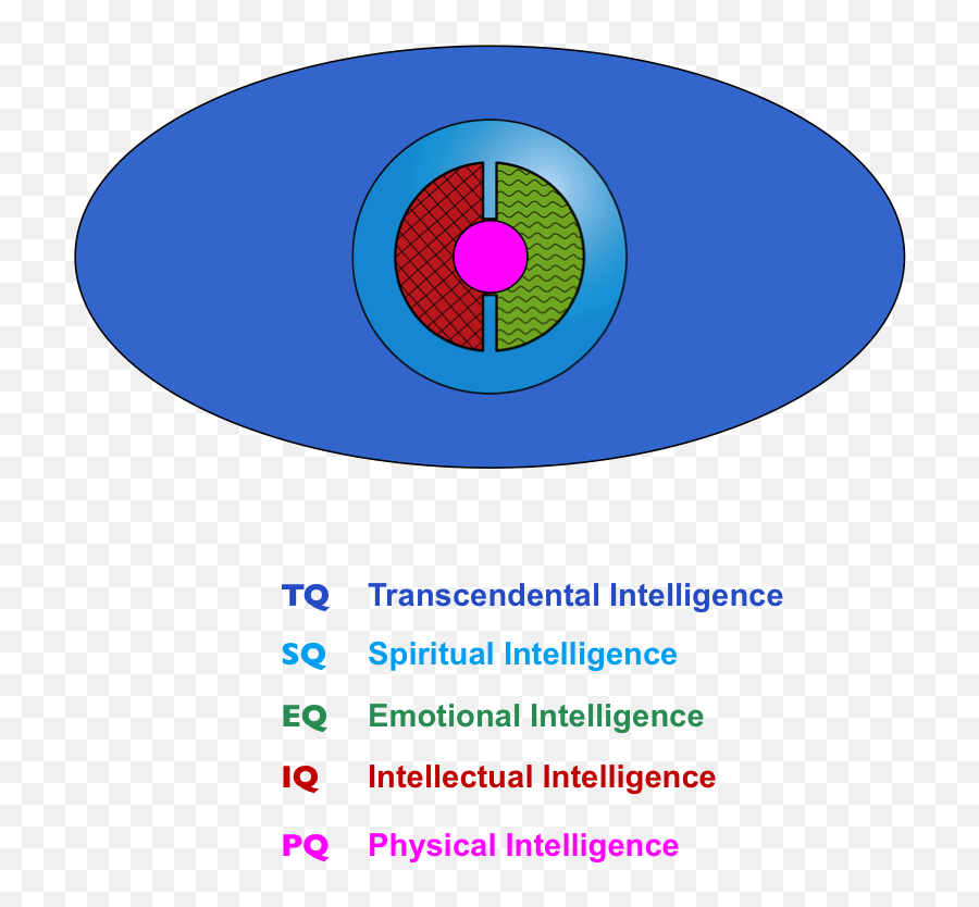 The Full Spectrum Of Intelligence Has Five Dimensions - Vertical Emoji,Physical Emotions
