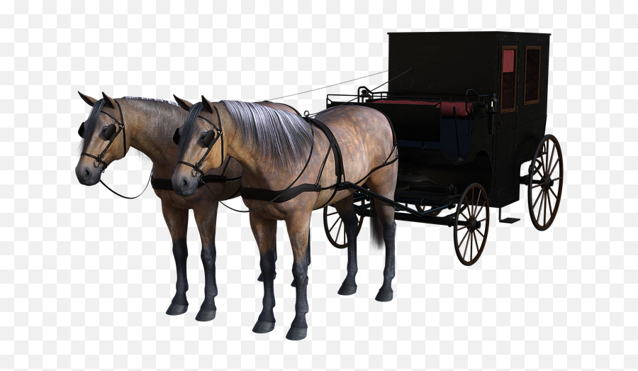 Free Photo Coach Animals Drawn Horse - Horse Carriage Png Emoji,Horse Emotions For Kids