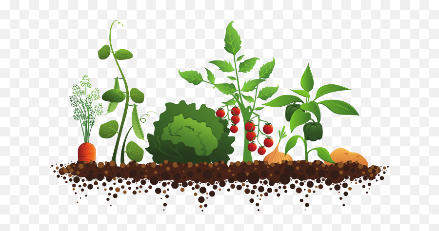 Vegetable Garden Clipart Familyhouse Co - Vegetable Garden Clip Art Emoji,House Emoji With Garden