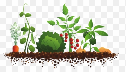 Vegetable Garden Clipart Familyhouse Co - Vegetable Garden Clip Art Emoji,House Emoji With Garden