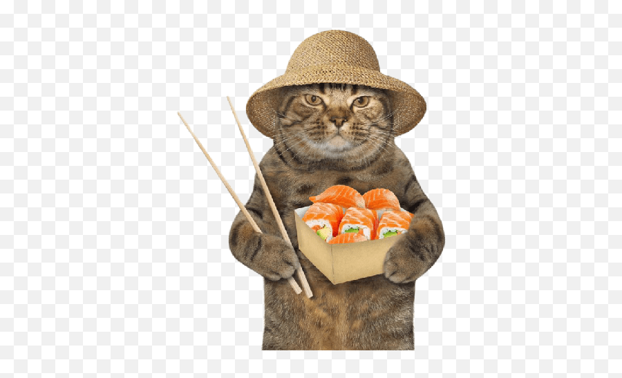 Cats Chapter 1 Emoji,Chopstick Emoji