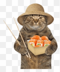 Cats Chapter 1 Emoji,Chopstick Emoji
