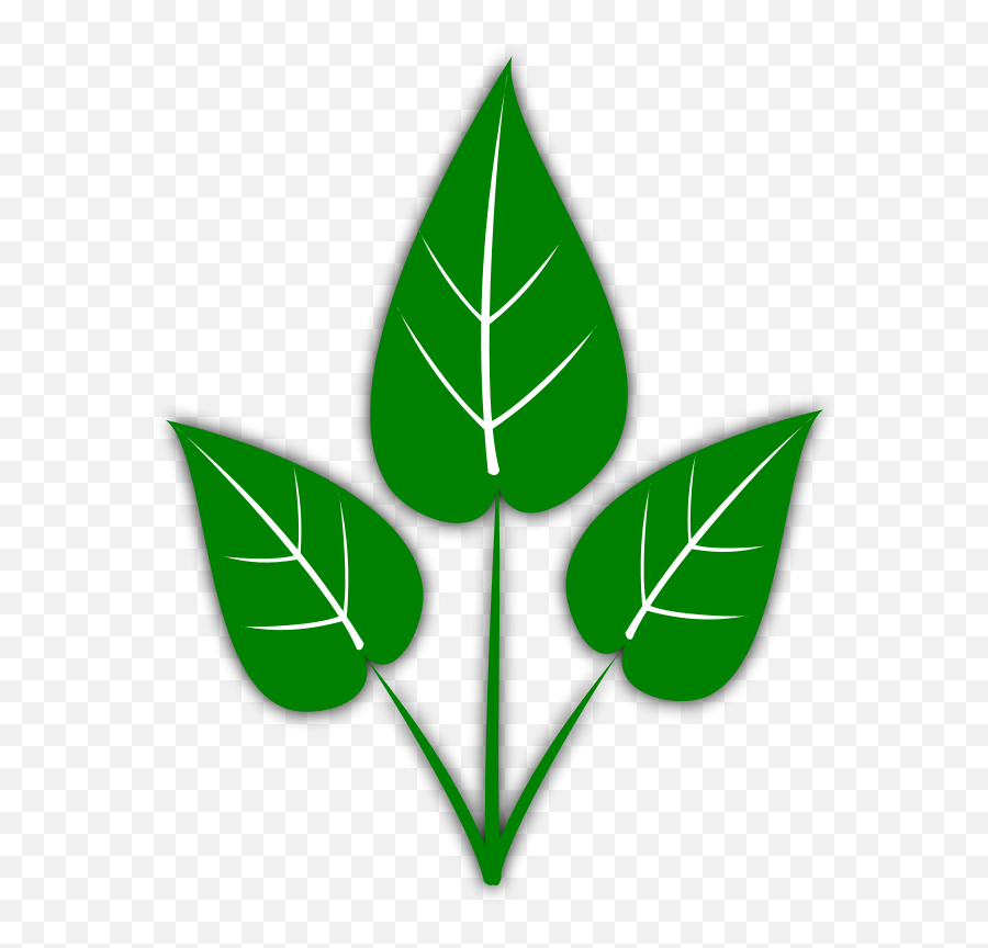 Weed Leaf Clipart - Clipartix Please Don T Water The Plants Emoji,Weed Leaf Emoji