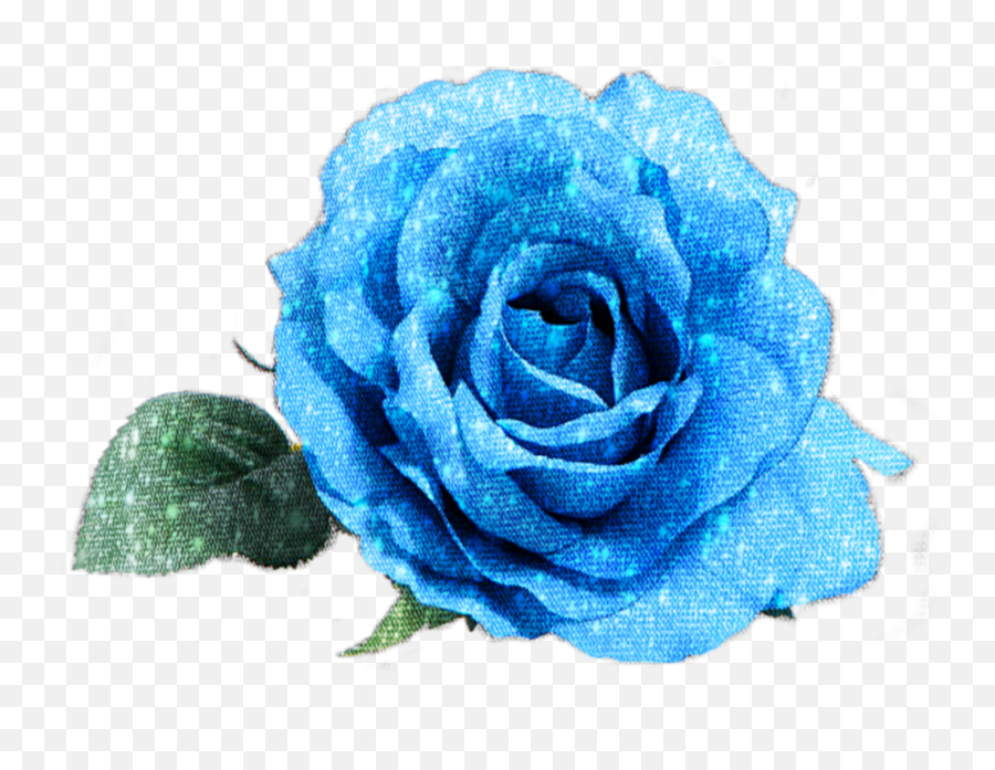 Blue Rose Flower Sticker By Lily Anna - Blue Roses Psd Emoji,Blue Rose Emoji