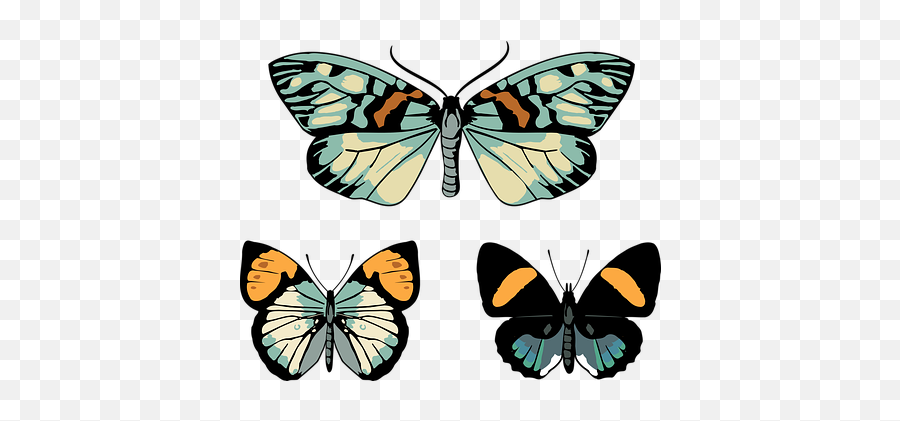 100 Free Blue Drawing U0026 Blue Vectors - Pixabay Butterflies Emoji,Moth Emoji