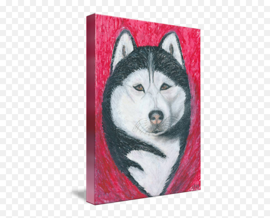 Boris Siberian Husky Dog Portrait By Ania M Milo - Northern Breed Group Emoji,Husky Emotions