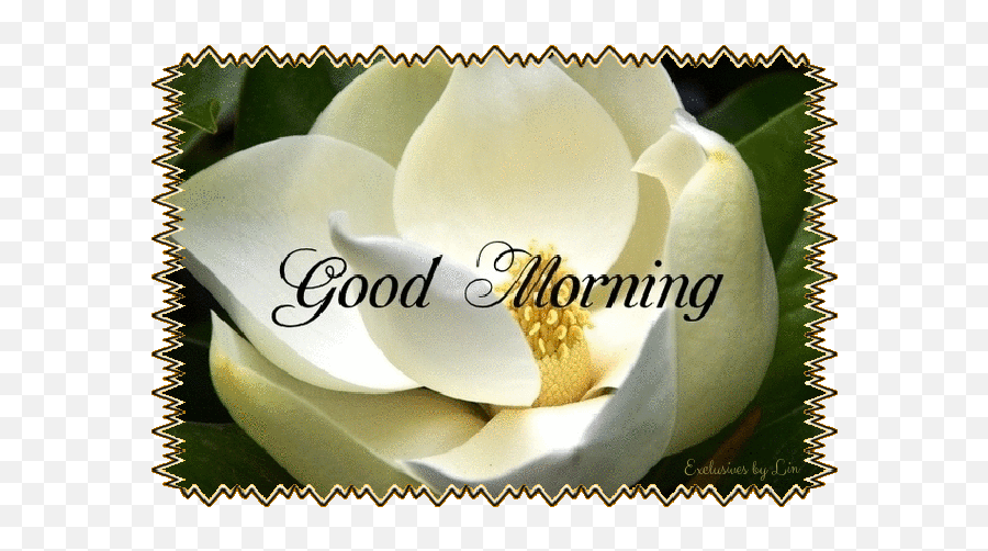 Good Morning - Good Morning Image Small Emoji,Good Morning Emoticon Text