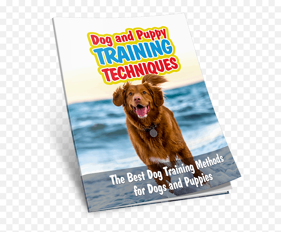 Dog And Puppy Training Techniques - Plr Dog Training Course Emoji,Emotions Pet Copywriter