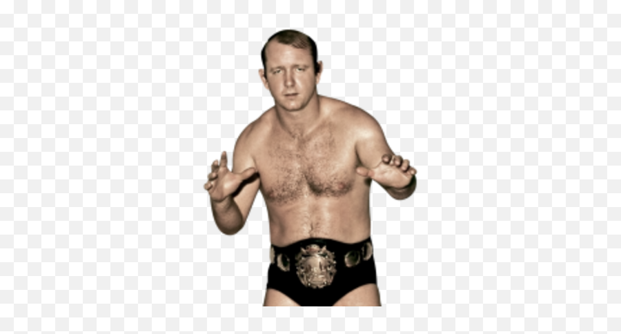 Who Is Dory Funk Jr - Dory Funk Jr Emoji,Bruiser Brody Emoji