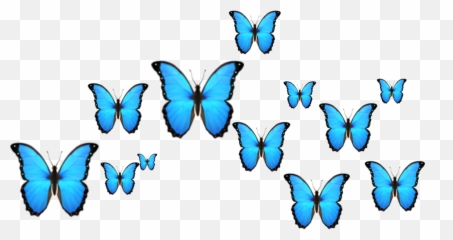 Download Blue Butterfly Emoji Png Png U0026 Gif Base - Butterfly Emoji Png,Iphone Emoji Meanings