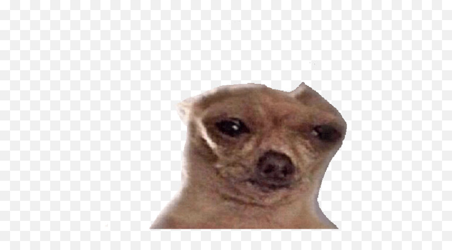 Memes De Animalitos Emoji,Emojis De Animalitos