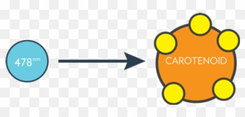 Scanner Trovato Nutrition Emoji,Icarly Emotion Scanner