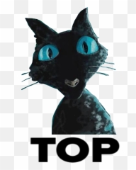 Countdown Emoji,Black Cat Discord Emoji