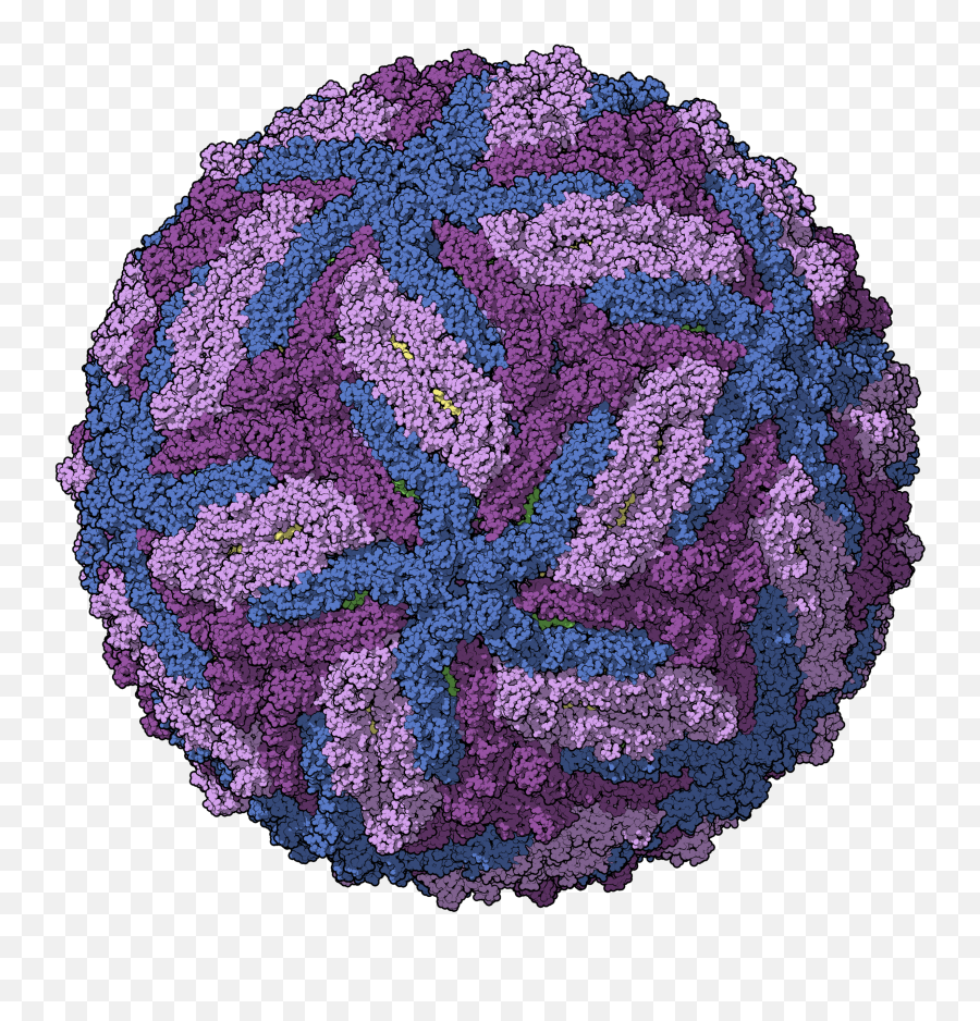 Research U2014 The Bliss - Moreau Laboratory Yellow Fever Virus Transparent Emoji,Discrete Emotion