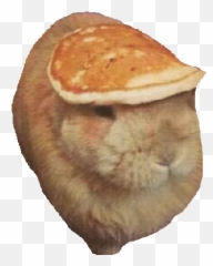 Latest Project - Tater Tot Gif Emoji,Tater Tot Emoji