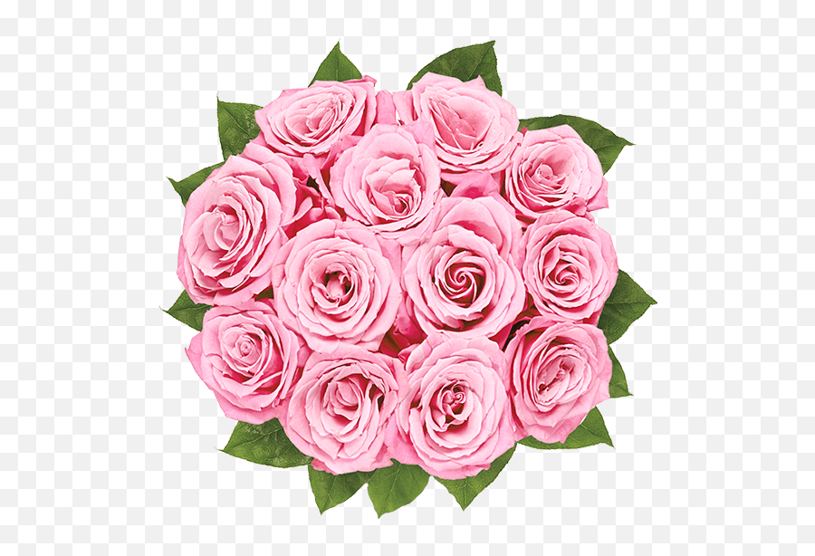 New Baby Flowers - Pink Roses Emoji,Two Roses Emoji